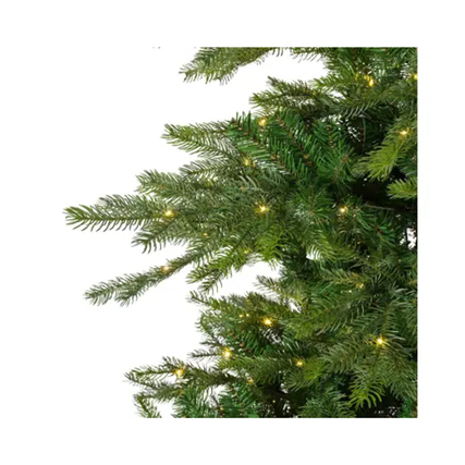 EVERLANDS Weihnachtsbaum Grandis Fir mit Beleuchtung 150 x 210 cm (Ø x H) Produktbild pa_produktabbildung_3 XL