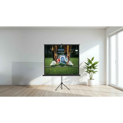 magnetoplan® Stativleinwand 240 x 183 cm (B x H) Produktbild pa_ohnedeko_1 XL