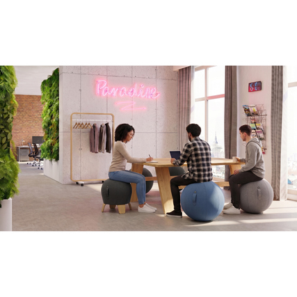 ALBA Sitzball 65cm inkl. Handpumpe PVC Polyester entenblau