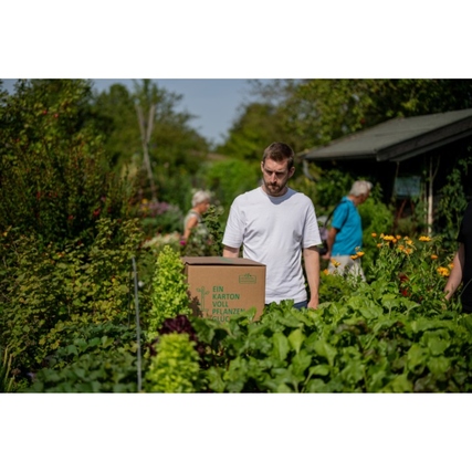 Floragard Gartenerde Produktbild pa_ohnedeko_2 XL