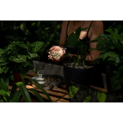 Floragard Pflanzensubstrat Green Jungle Mix 12 l/Pack. Produktbild pa_ohnedeko_1 XL