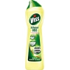 VISS Scheuermilch Professional A010167Y