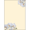 SIGEL Motivpapier White Orchid A011486A