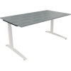 Schreibtisch all in one 1.600 x 650-850 x 900 mm (B x H x T) Flachkufe Quadratrohr beton hell A012545B