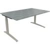 Schreibtisch all in one 1.600 x 650-850 x 1.000 mm (B x H x T) Flachkufe Quadratrohr beton hell