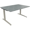 Schreibtisch all in one 1.400 x 650-850 x 1.000 mm (B x H x T) Flachkufe Quadratrohr beton hell
