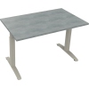 Schreibtisch all in one 1.200 x 650-850 x 700 mm (B x H x T) Flachkufe Quadratrohr beton hell A012596F