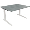 Schreibtisch all in one 1.200 x 650-850 x 1.000 mm (B x H x T) Flachkufe Quadratrohr beton hell A012607D