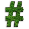 STYLEGREEN Pflanzen-Piktogramm Islandmoos Sonderzeichen "hashtag"