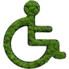 STYLEGREEN Pflanzen-Piktogramm Islandmoos Rollstuhl