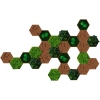STYLEGREEN Pflanzenbild Kork-Hexagon Set A014015O