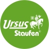 Ursus Staufen Geschäftsbuch Green DIN A4 liniert 96 Bl. Produktbild lg_markenlogo_1 lg