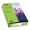 inapa tecno Kopierpapier Colors DIN A4 120 g/m² 250 Bl./Pack. grün Produktbild pa_produktabbildung_1 S