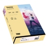 inapa tecno Kopierpapier Colors DIN A4 160 g/m² 250 Bl./Pack. chamois Produktbild pa_produktabbildung_1 S