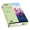 inapa tecno Kopierpapier Colors DIN A4 160 g/m² 250 Bl./Pack. A014461Y
