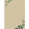 SIGEL Motivpapier Eucalyptus Y000331S