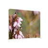 Showdown® Displays Trennwand Pinke Blume Erica