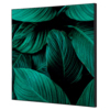 Showdown® Displays Dekobild 40 x 40 cm (B x H) Botanische Blätter