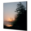 Showdown® Displays Dekobild 40 x 40 cm (B x H) Wald Sonnenaufgang Y000921J