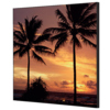 Showdown® Displays Dekobild 40 x 40 cm (B x H) Palmen Sonnenuntergang