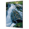 Showdown® Displays Dekobild 84,1 x 59,4 cm (B x H) Wasserfallwald Y000922Q