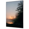 Showdown® Displays Dekobild 42 x 59,4 cm (B x H) Wald Sonnenaufgang Y000926B