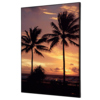 Showdown® Displays Dekobild 42 x 59,4 cm (B x H) Palmen Sonnenuntergang Y000926D