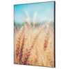 Showdown® Displays Dekobild 42 x 59,4 cm (B x H) Getreidefeld Y000926L