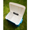 Kühlbox mit offenem Deckel und zwei Fächern auf grünem Rasen.