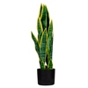 Paperflow Zimmerpflanze meet Sansevieria 65 cm Y001140V