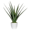 Paperflow Zimmerpflanze meet Aloe Vera 45 cm Y001141P