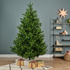 EVERLANDS Weihnachtsbaum Nordmann Tanne 150 x 210 cm (Ø x H) Produktbild pa_ohnedeko_1 S
