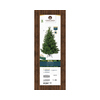 EVERLANDS Weihnachtsbaum Nordmann Tanne 150 x 210 cm (Ø x H) Produktbild pa_produktabbildung_2 S