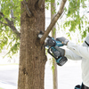 Person schneidet mit Akku-Astsäge Äste von einem Baum ab, Säge ist in Aktion.