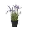 DECORIS Kunstpflanze Lavendel Y001646E