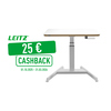 Leitz Schreibtisch Ergo 600 x 650-1.300 x 800 mm (B x H x T) elektronisch Y001723M