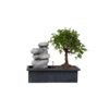 Zimmerpflanze Bonsai Wasserfall-Set Stones Y001807L