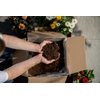 Floragard Gartenerde Y002216V