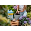 Floragard Gartenerde Y002217D